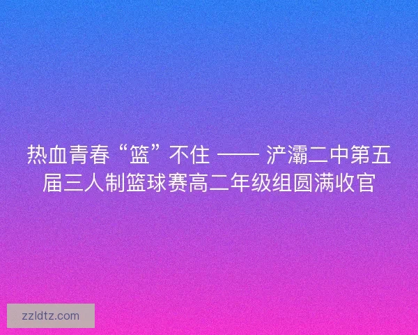 热血青春 “篮” 不住 —— 浐灞二中第五届三人制篮球赛高二年级组圆满收官